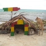 Haynes Cay “El Acuario” en San Andrés