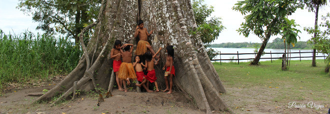 Tribu indígena en la Isla de los Micos en la Amazonía Colombiana.