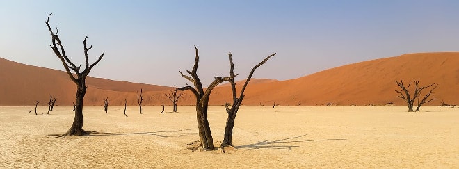 Desierto del Namib en Namibia, África.