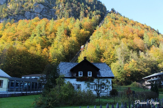 Curiosidades: Casa de Hallstatt con árbol en la fachada.