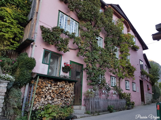 Casa con un árbol en la fachada.