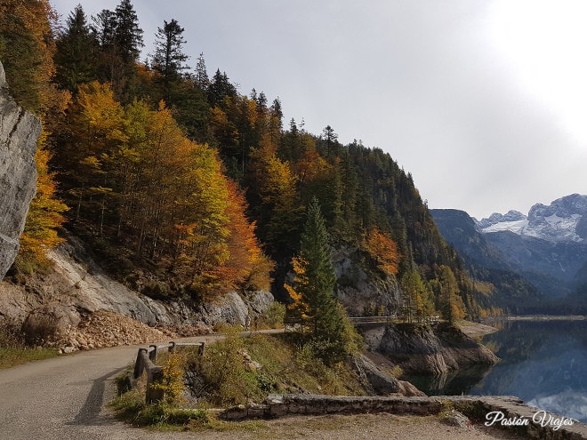 Camino que rodea el lago de Gosau.