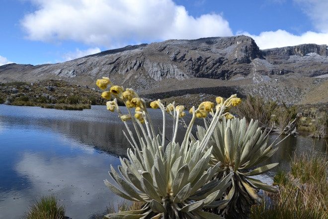 Parque Nacional El Cocuy.