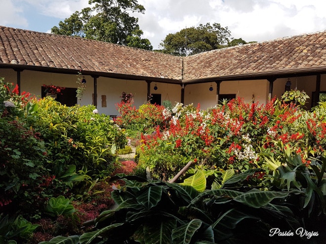 Jardín interior.