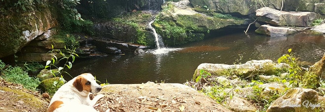 Pozo con mini cascada para bañarse.