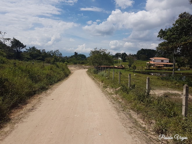 Carretera que dirige al Salto del Mico.