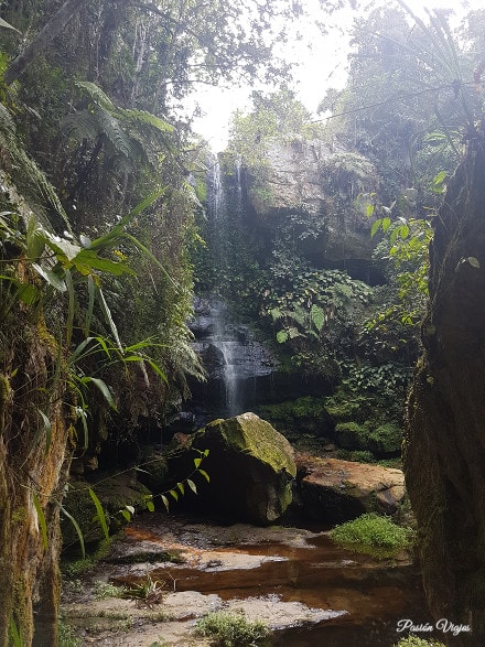 El Salto del Mico en época de verano.