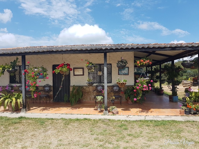 La tienda en la que paramos a comer algo.