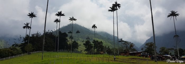 Eje Cafetero desde Medellín - Colombiana de Turismo