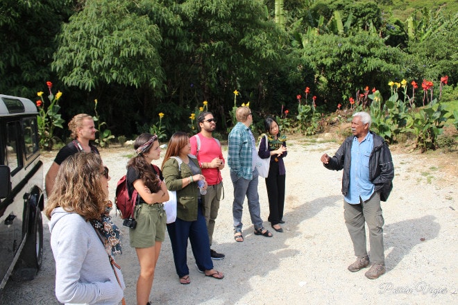 Nuestro guía en Cameron Highlands por suerte hablaba inglés.