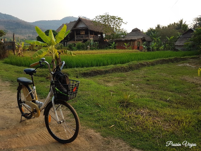 Paisajes a las afueras de Luang Prabang,