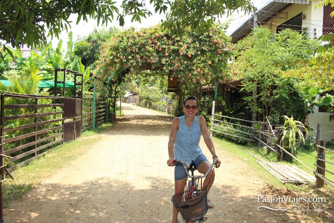 Paseo en bicicleta por la isla Don Khon.